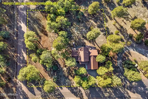 View/Area - 2780 E Doolittle Cir, Overgaard, AZ 85933 photo 4 of 6