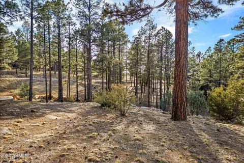 Exterior - 2780 E Doolittle Cir, Overgaard, AZ 85933 photo 13 of 14