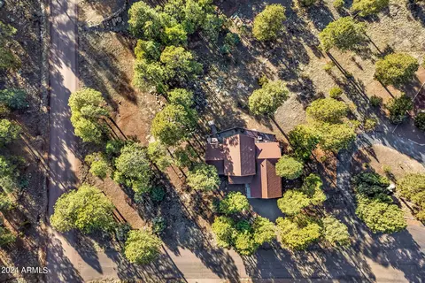 View/Area - 2780 E Doolittle Cir, Overgaard, AZ 85933 photo 5 of 6