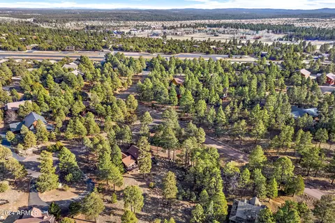 View/Area - 2780 E Doolittle Cir, Overgaard, AZ 85933 photo 6 of 6