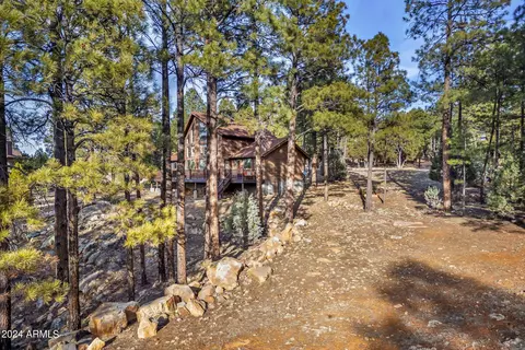 View/Area - 2780 E Doolittle Cir, Overgaard, AZ 85933 photo 1 of 6