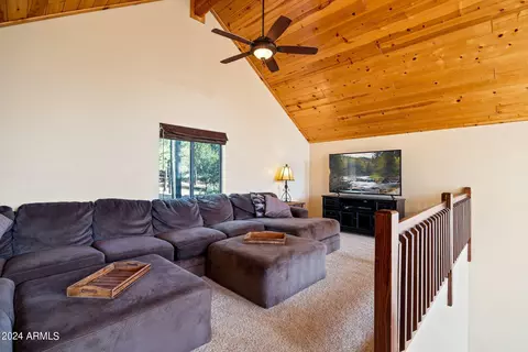 Living - 2780 E Doolittle Cir, Overgaard, AZ 85933 photo 4 of 5