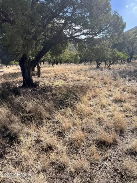 00 Ramsey Cyn #-, Hereford, AZ 85615