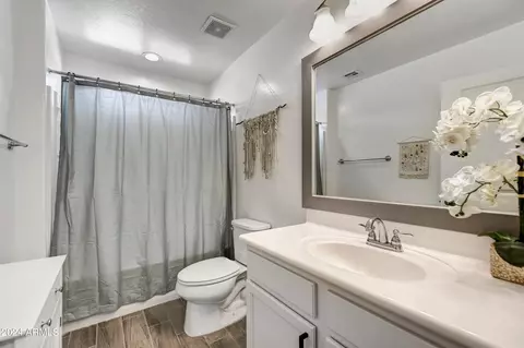 259 N 69th Pl, Mesa, AZ 85207 photo 17