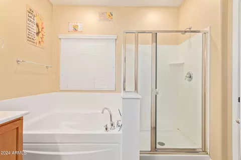 Bath - 11056 E Sombra Ave, Mesa, AZ 85212 photo 2 of 3