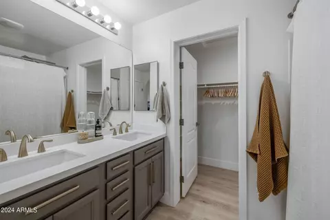 Bath - 3868 S Winter Ln, Gilbert, AZ 85297 photo 1 of 3
