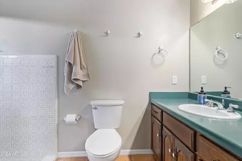 Bath - 1942 E Glencove St, Mesa, AZ 85203 photo 2 of 4