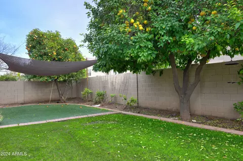 Exterior - 1301 E Spur Ave, Gilbert, AZ 85296 photo 8 of 10
