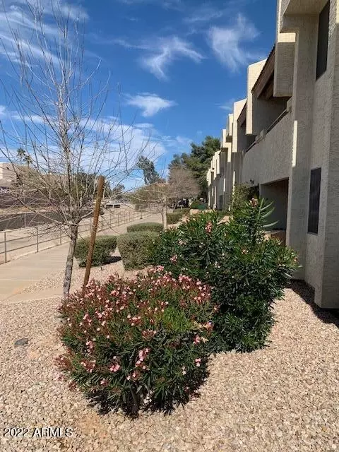 4150 E Cactus Rd #108, Phoenix, AZ 85032 photo 17