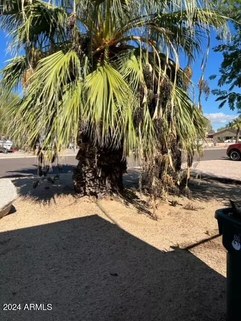 2065 E Villa Rita Dr, Phoenix, AZ 85022 photo 3