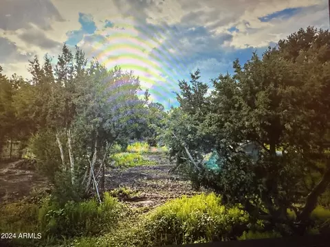 19 N 3129 -- #253, Vernon, AZ 85940