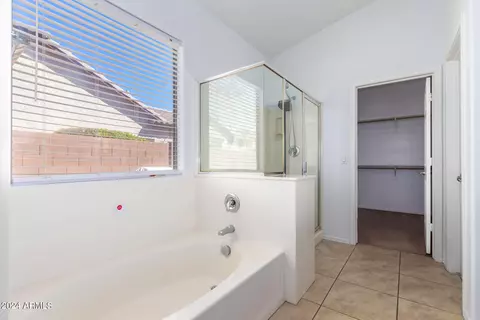 Bath - 1232 E Mary Ln, Gilbert, AZ 85295 photo 3 of 5