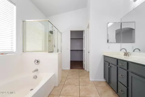 Bath - 1232 E Mary Ln, Gilbert, AZ 85295 photo 2 of 5