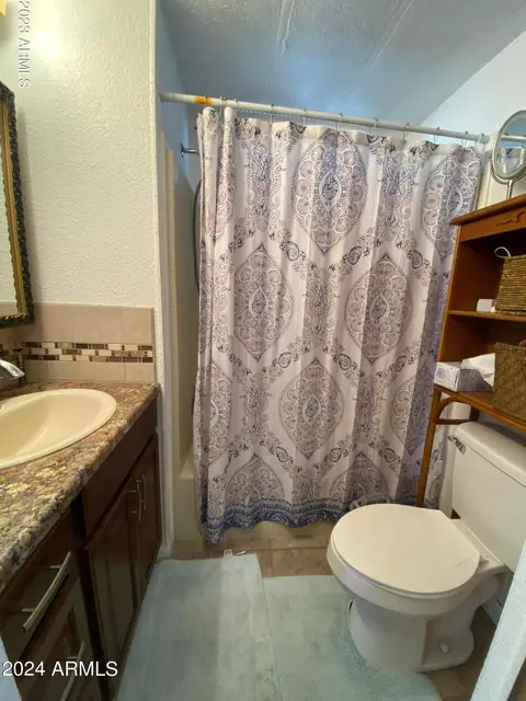 1169 S Kiowa Cir, Apache Junction, AZ 85119 photo 17