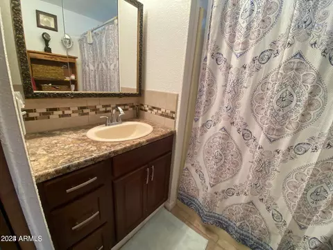 1169 S Kiowa Cir, Apache Junction, AZ 85119 photo 19