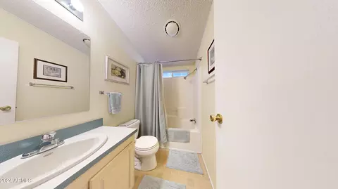 250 S Silver Dr, Apache Junction, AZ 85120 photo 11