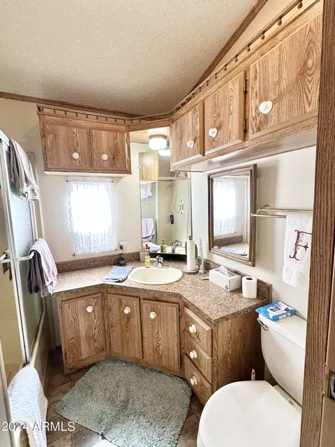 1007 S Prospector Dr, Apache Junction, AZ 85119 photo 32