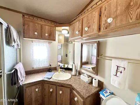 1007 S Prospector Dr, Apache Junction, AZ 85119 photo 30