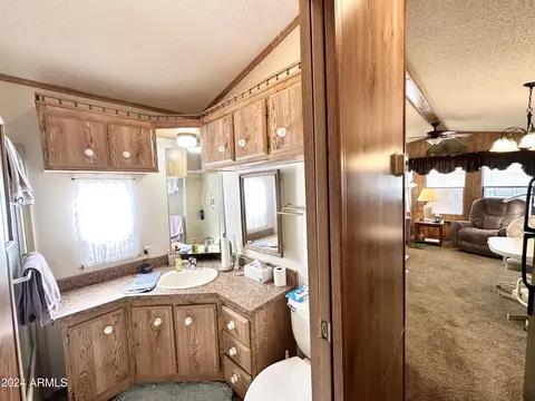 1007 S Prospector Dr, Apache Junction, AZ 85119 photo 29