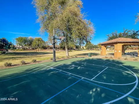 View/Area - 3250 E Cedar Dr, Chandler, AZ 85249 photo 12 of 12