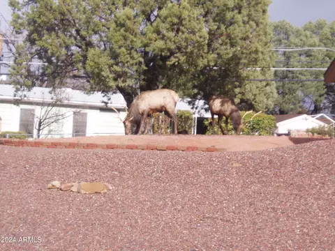 905 E Miller Rd, Payson, AZ 85541 photo 28