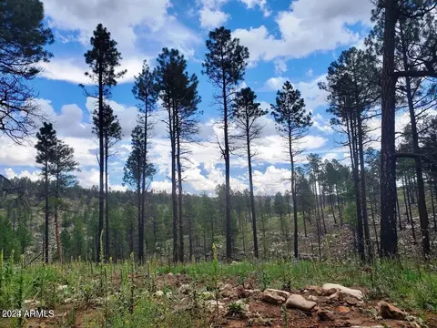 931 Britton Ln #7, Happy Jack, AZ 86024