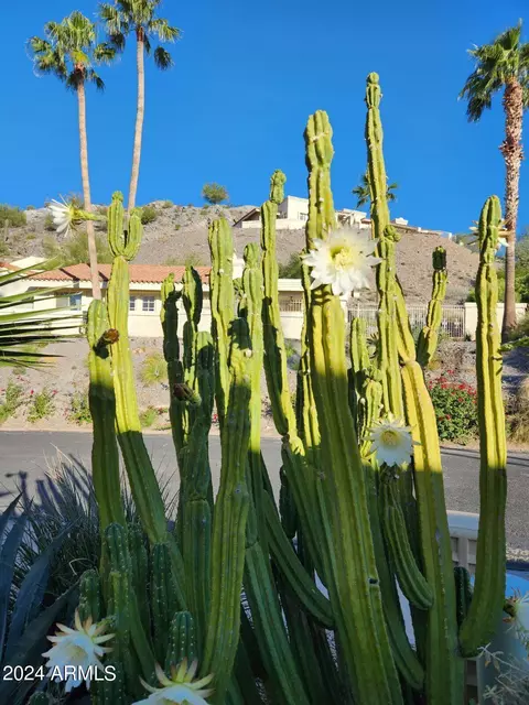 View/Area - 1735 E Frier Dr, Phoenix, AZ 85020 photo 3 of 16