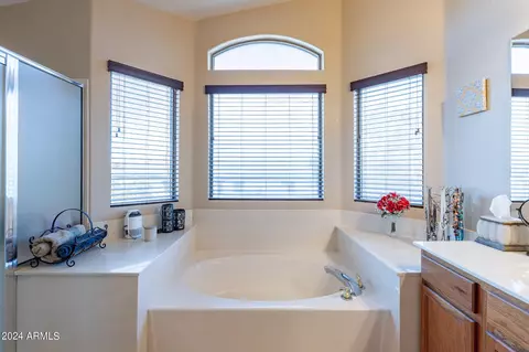 Bath - 1157 N Arroyo Ln, Gilbert, AZ 85234 photo 3 of 5
