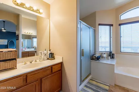 Bath - 1157 N Arroyo Ln, Gilbert, AZ 85234 photo 4 of 5