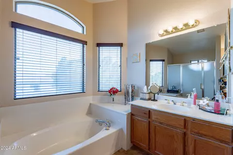 Bath - 1157 N Arroyo Ln, Gilbert, AZ 85234 photo 2 of 5