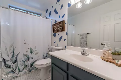 Bath - 379 E Phelps St, Gilbert, AZ 85295 photo 1 of 5