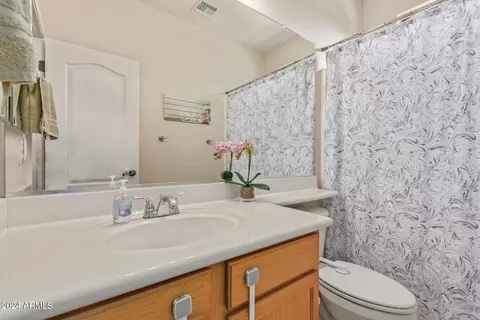 Bath - 7453 S 19th St, Phoenix, AZ 85042 photo 4 of 4