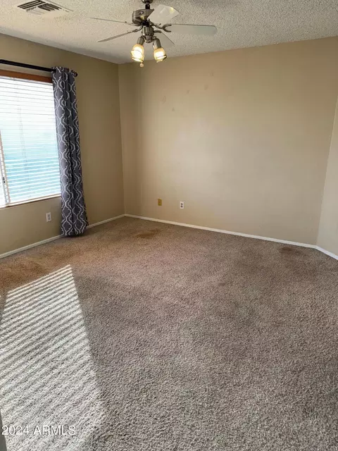 3913 E Park Ave, Phoenix, AZ 85044 photo 11