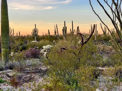 41580 E Derrio Canyon Lots A B 10 Ac -- #-, Marana, AZ 85658