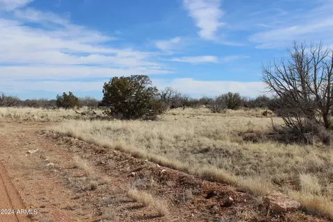 lot327 Chevelon Canyon Rnch #327, Heber, AZ 85928