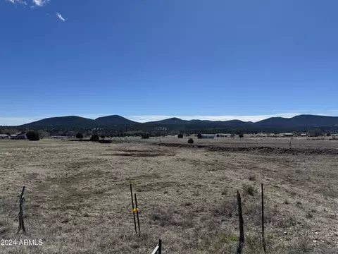 47319 N Az Hwy 288 Hwy #5, Young, AZ 85554