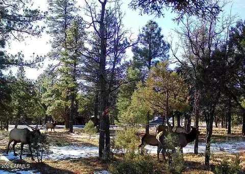 4871 Bald Eagle Way #8, Happy Jack, AZ 86024