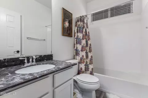 Bath - 3885 E Mesquite St, Gilbert, AZ 85296 photo 6 of 6
