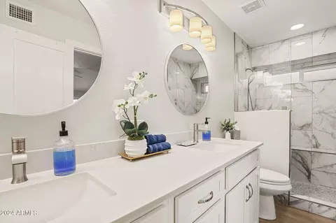 Bath - 2718 E Rockledge Rd, Phoenix, AZ 85048 photo 1 of 2