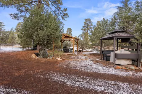 2896 Pine Rim Rd, Overgaard, AZ 85933 photo 24