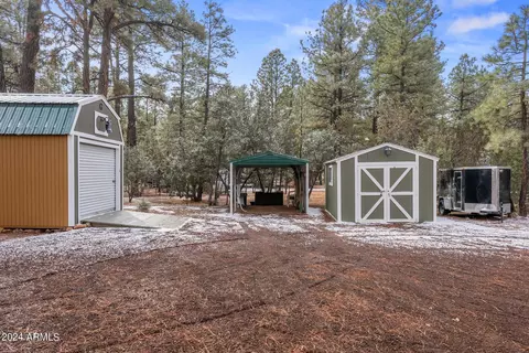 2896 Pine Rim Rd, Overgaard, AZ 85933 photo 46