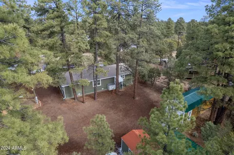 2896 Pine Rim Rd, Overgaard, AZ 85933 photo 49
