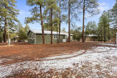 2896 Pine Rim Rd, Overgaard, AZ 85933 photo 41