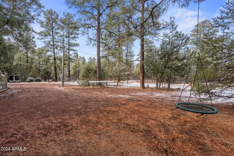 2896 Pine Rim Rd, Overgaard, AZ 85933 photo 39