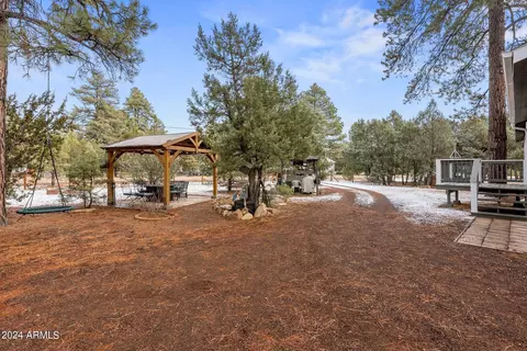 2896 Pine Rim Rd, Overgaard, AZ 85933 photo 44