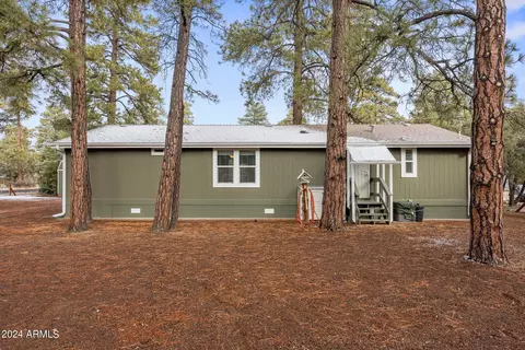 2896 Pine Rim Rd, Overgaard, AZ 85933 photo 42