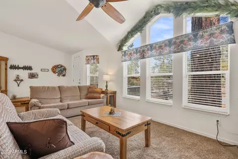 2896 Pine Rim Rd, Overgaard, AZ 85933 photo 8