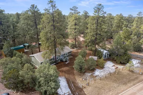 2896 Pine Rim Rd, Overgaard, AZ 85933 photo 48