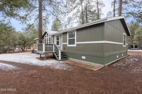 2896 Pine Rim Rd, Overgaard, AZ 85933 photo 3