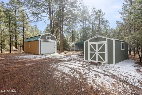 2896 Pine Rim Rd, Overgaard, AZ 85933 photo 47